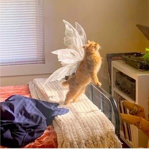 Meet your Posher, Bee